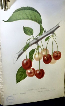 The Fruits Of America, Containing Richly Colored Figures, And full descriptions On All The Choicest Varieties Cultivated In The United States