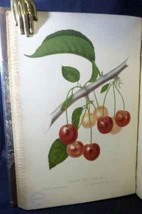 The Fruits Of America, Containing Richly Colored Figures, And full descriptions On All The Choicest Varieties Cultivated In The United States