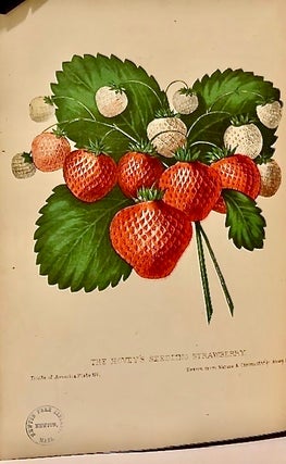 The Fruits Of America, Containing Richly Colored Figures, And full descriptions On All The Choicest Varieties Cultivated In The United States
