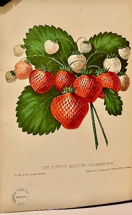 The Fruits Of America, Containing Richly Colored Figures, And full descriptions On All The Choicest Varieties Cultivated In The United States