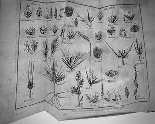A Botanical Arrangement Of British Plants; In Medicine, Diet, Rural Economy And The Arts. With An Easy Introduction to the Study of Botany, &c. &c