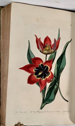 Edwards's Botanical Register: Or, Ornamental Flower-Garden And Shrubbery: Consisting Of Coloured Figures Of Plants And Shrubs Cultivated in British Gardens; Accompanied By Their History, Best Method of Treatment in Cultivation, Propagation, &c; Edited by John Lindley. Vols. 1-10