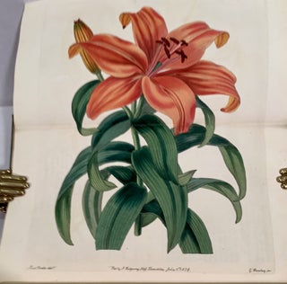 Edwards's Botanical Register: Or, Ornamental Flower-Garden And Shrubbery: Consisting Of Coloured Figures Of Plants And Shrubs Cultivated in British Gardens; Accompanied By Their History, Best Method of Treatment in Cultivation, Propagation, &c; Edited by John Lindley. Vols. 1-10