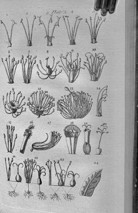 An Introduction To Botany. Containing An Explanation Of The Theory of that Science; Extracted From The Work of Dr. Linnaeus; With Twelve Copper-Plate, Two Explanatory Tables, An Appendix, And Glossary