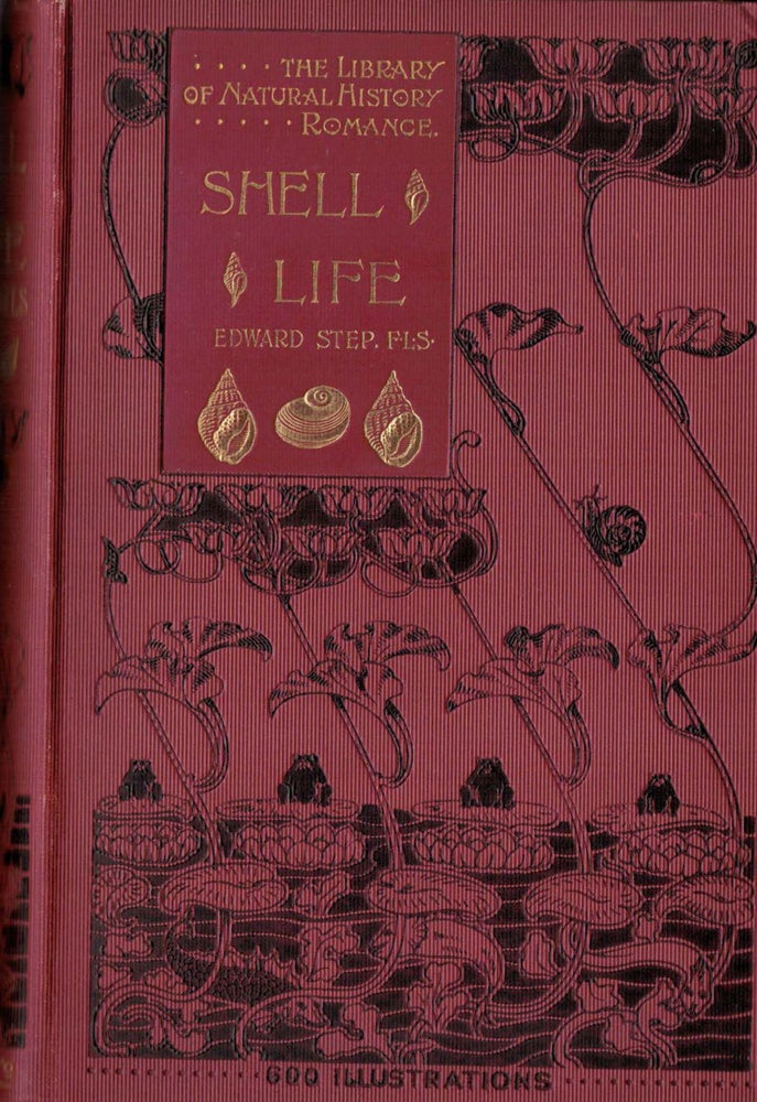 Item #19954 Shell Life an Introduction To The British Mollusca. Edward Step.