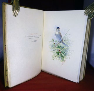 Nos Oiseaux; Illustrated by Hector Giacomelli