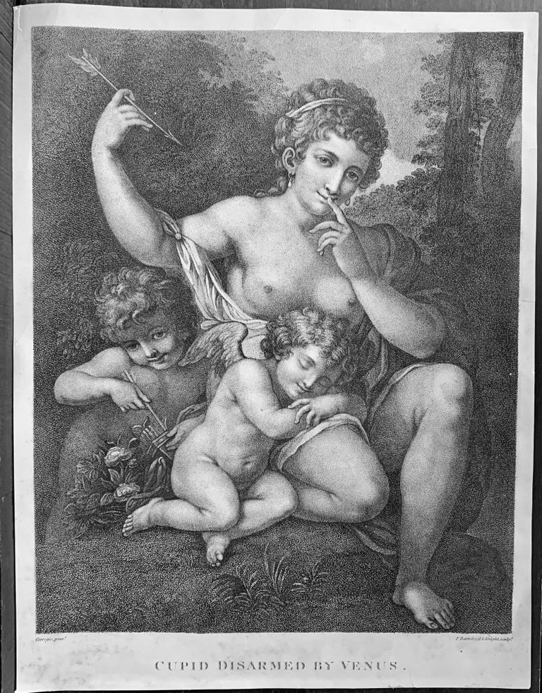 Item #22566 Cupid Disarmed By Venus. Antonio Allegri da Correggio.