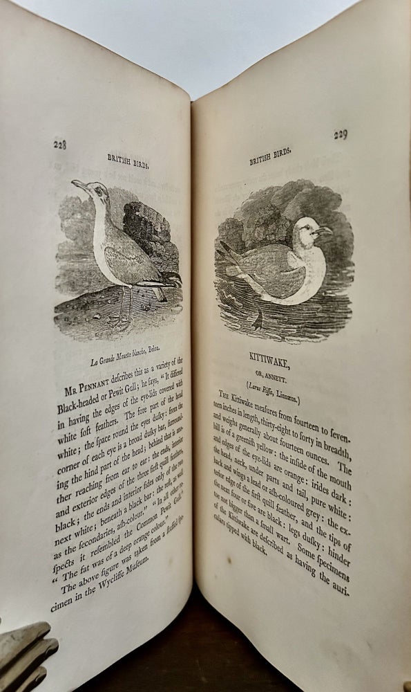 Item #24015 A History of British Birds. Volume I: History And Description Of Land Birds & Vol. II: History And Description of Water Birds. Thomas Bewick.