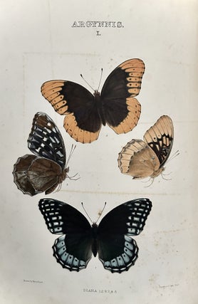 The Butterflies Of North America (First Series)