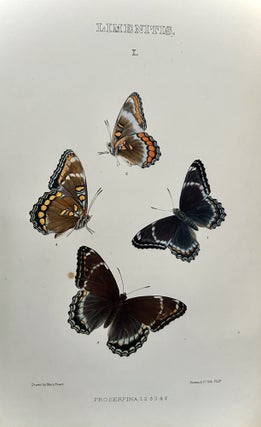 The Butterflies Of North America (First Series)