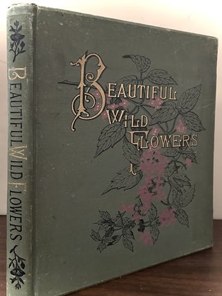 Beautiful Wild Flowers Of America From Original Water-Color Drawings After Nature; Descriptive...